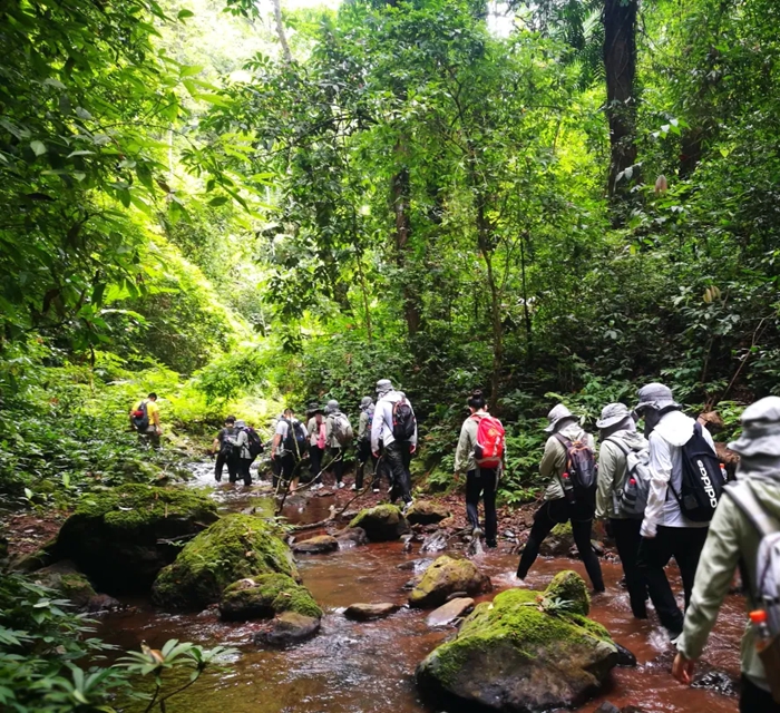 自驾抵达10人内拼团